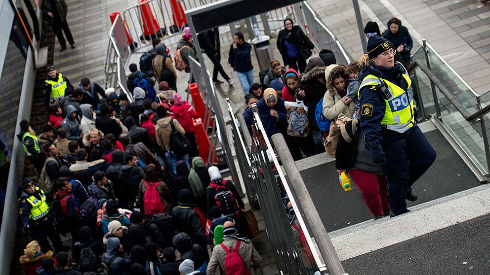 Högst 100.000 asylsökande i år, tror Migrationsverket.
