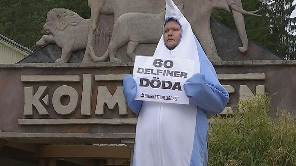 Protester mot delfiner i fångenskap.