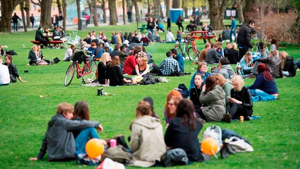 Ungdomar sitter i klungor på gräset i park.