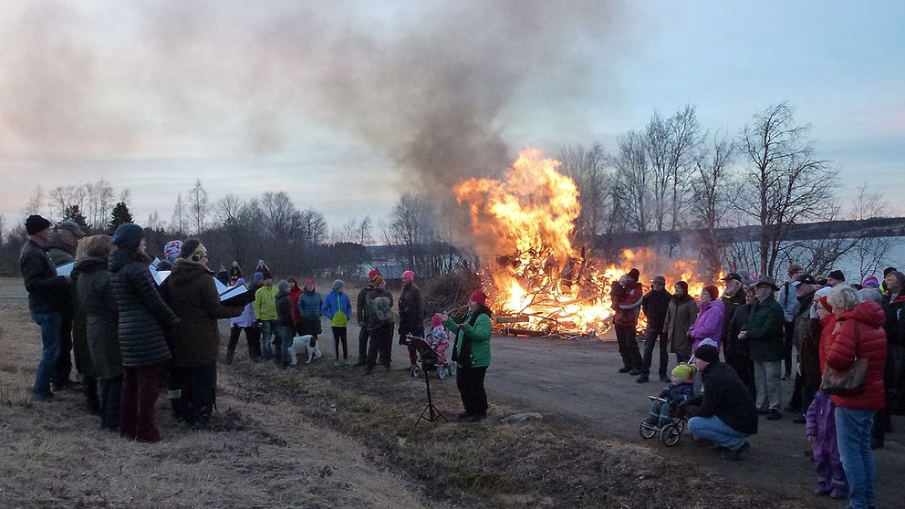 Klassiskt valborgsfirande med sång och brasa vid Bye ångbåtsbrygga i Marieby strax utanför Östersund i Jämtland på kvällen den 30 april.