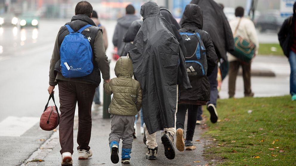 En grupp flyktingar går med ryggen mot kameran.