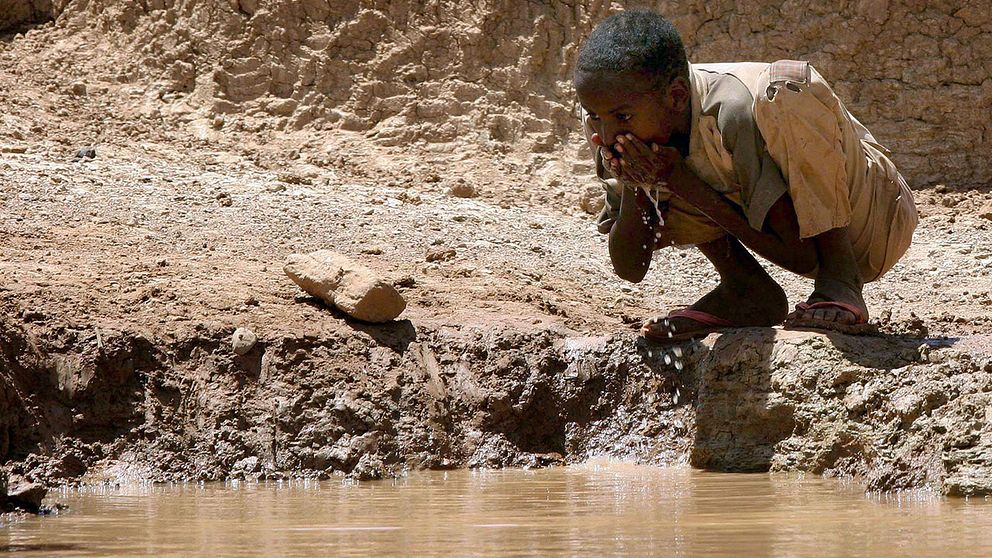 ”Flodar blir till damm av torkan” varnar FN – här en pojke som dricker ur en ”damm” som byborna i Bur Dhuxunle i södra Somalia grävt ur.