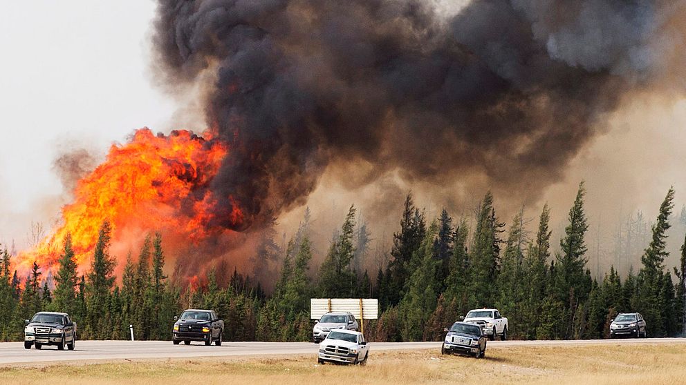 Den omfattande skogsbranden som rasar kring staden Fort McMurray i Kanada växer explosionsartat, på bara ett dygn har branden fördubblats i storlek.