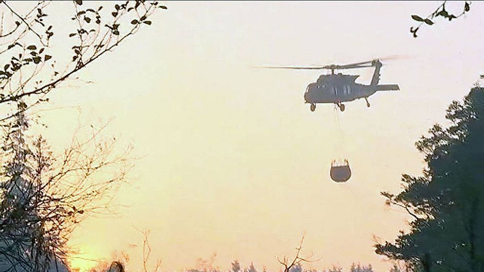 Skogsbranden i Triabo