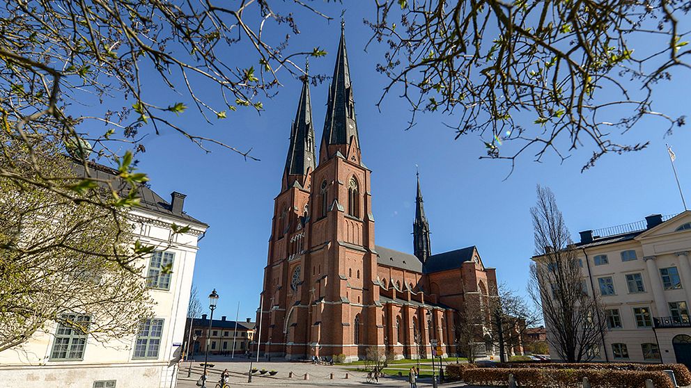 Uppsala stad har vunnit pris för att vara ”Bästa stadskommun”. Rankningen är gjord av tidningen Fokus, som årligen delar ut priset i olika kategorier.