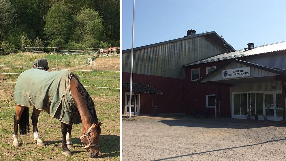 ridhus ronneby ryttarförening