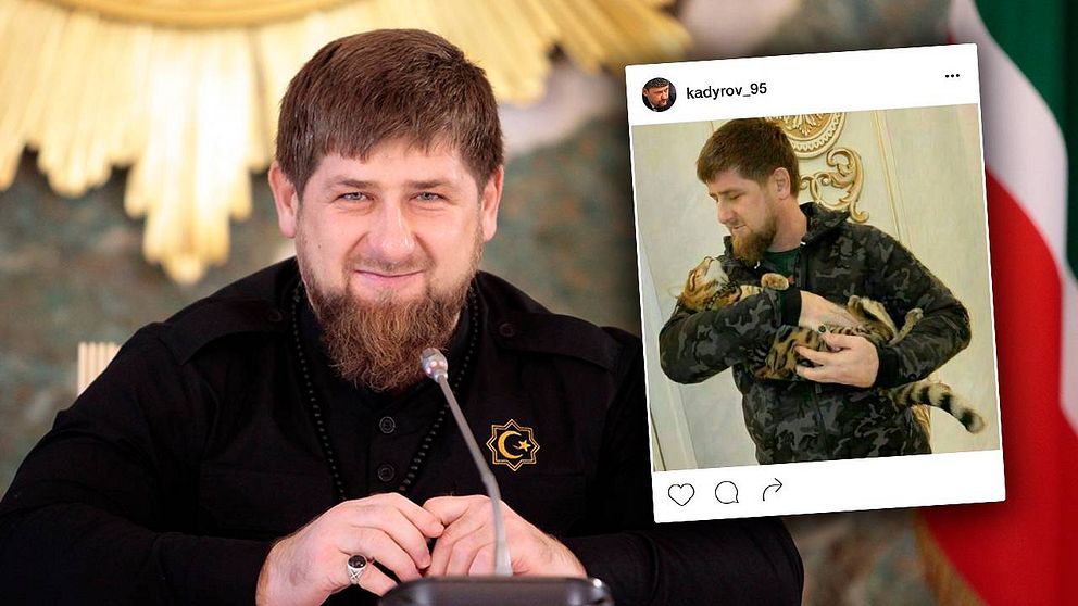 Den tjetjenske presidenten Ramzan Kadyrov eftelyser sin katt på Instagram.