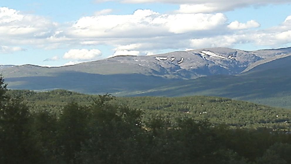 vy över skog och fjäll