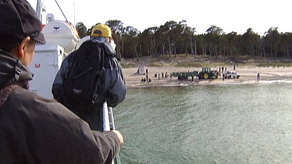 Turister på väg till naturreservatet Gotska Sandön.