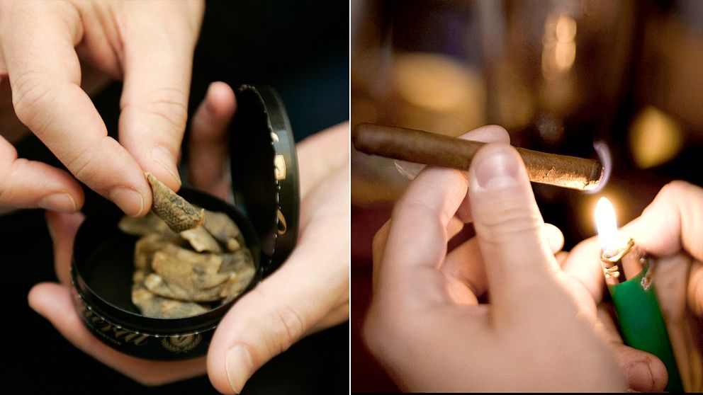 Den svenska snusjätten Swedish Match tillverkar även cigarrer i bland annat östra Java genom bolaget världens största cigarr- och piptobakstillverkare STG, ett företag som Swedish Match är delägare i.