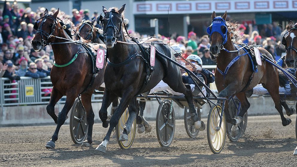 Nuncio vinner Elitloppet