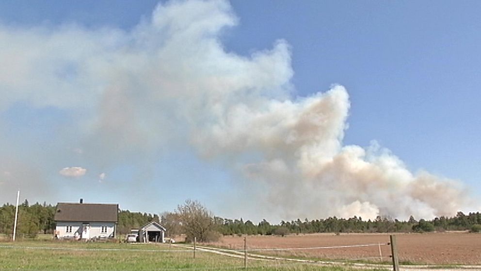 En gräsbrand som växte till en skogsbrand härjade nära Vänge på inre Gotland den 4–5 maj.