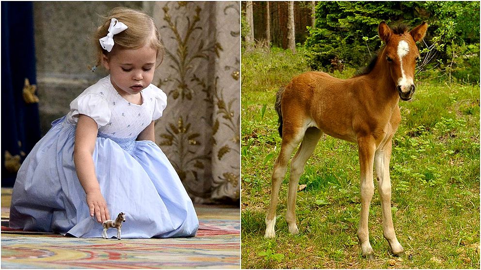 Prinsessan Leonore och hennes Gotlandsruss Haidi af Gotland.