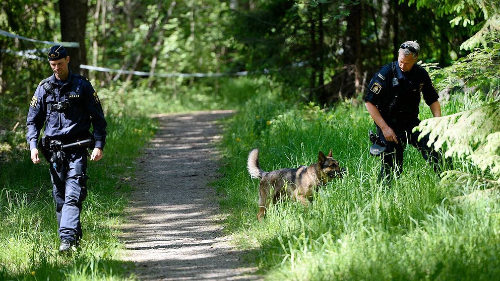 Poliser i ett skogsparti i Hökarängen.