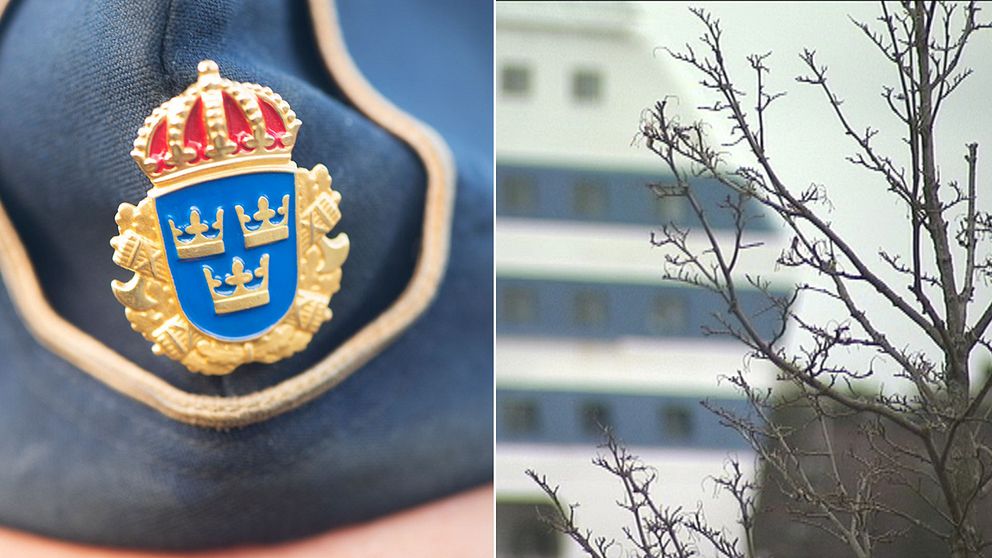 Polisarbetet vid misstänkta färjevåldtäkten granskas