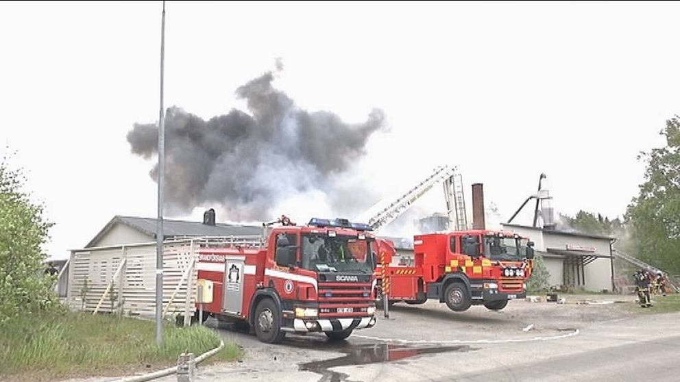 brand