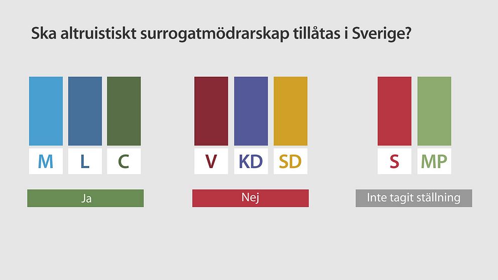 Frågan splittrar partierna