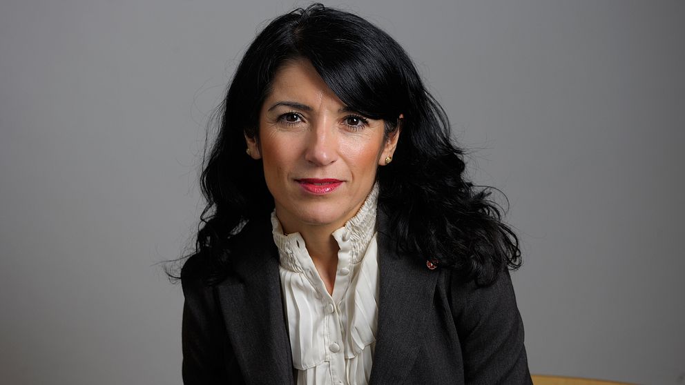 Amineh Kakabaveh (V)