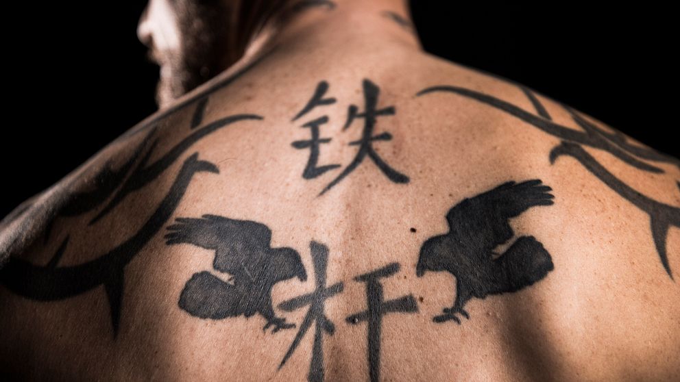En tatuerad rygg. Korpar och kinesiska tecken bland annat.