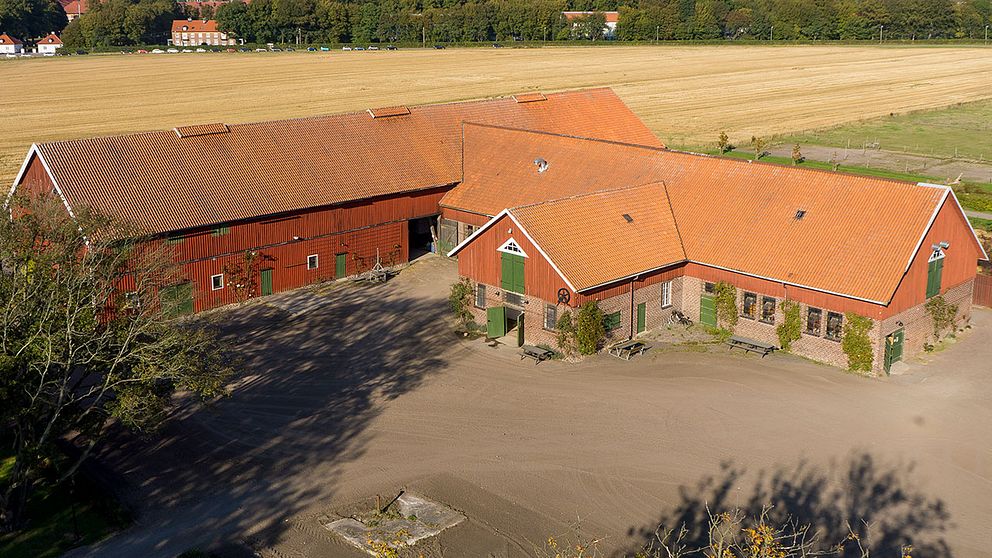 Hästägare på Pålsjö Gård protesterar mot fotbollsplaner