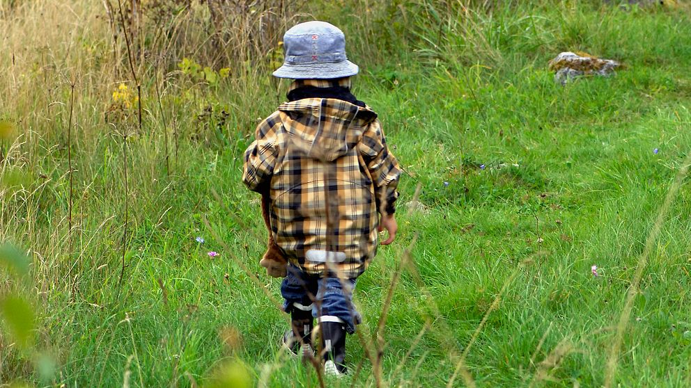 Pojke i 3-årsåldern på upptäcksfärd i naturen.