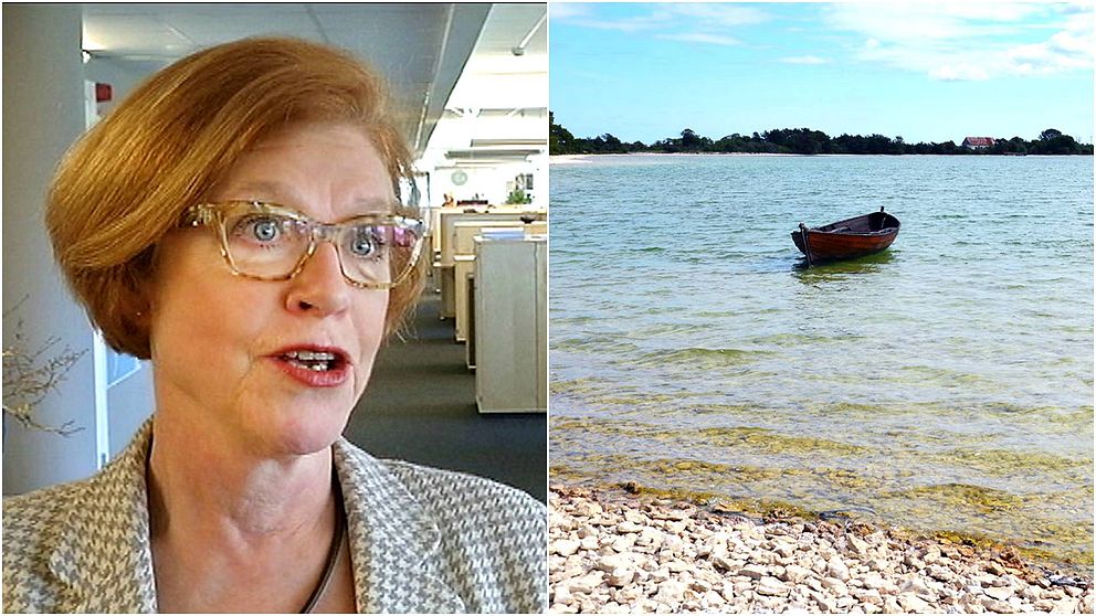 Cecilia Schelin Seidegård Landshövdning på Gotland samt Bästeträsk