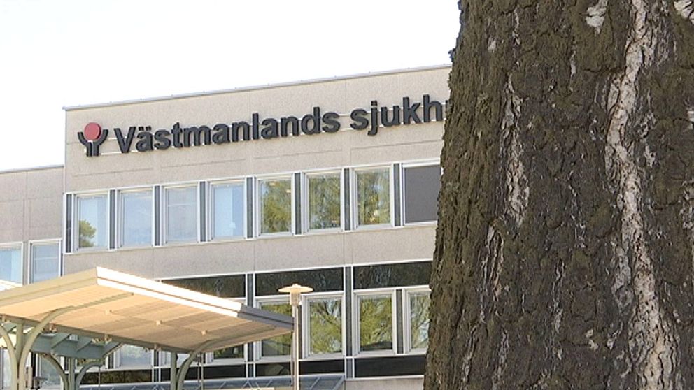 Björkstam framför Västmanlands sjukhus.