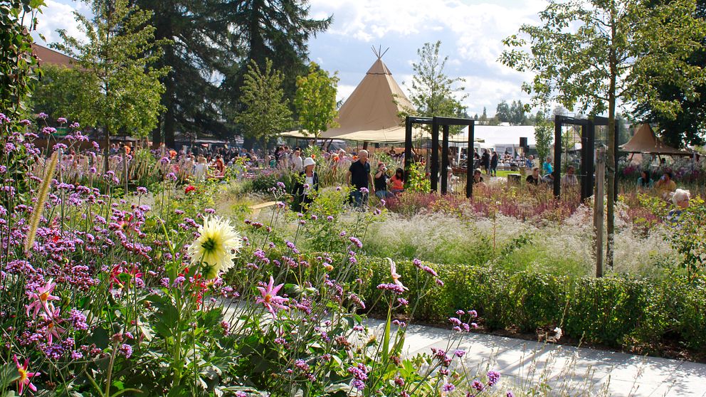 Skellefteå stadspark, sommar, European Garden Trophy