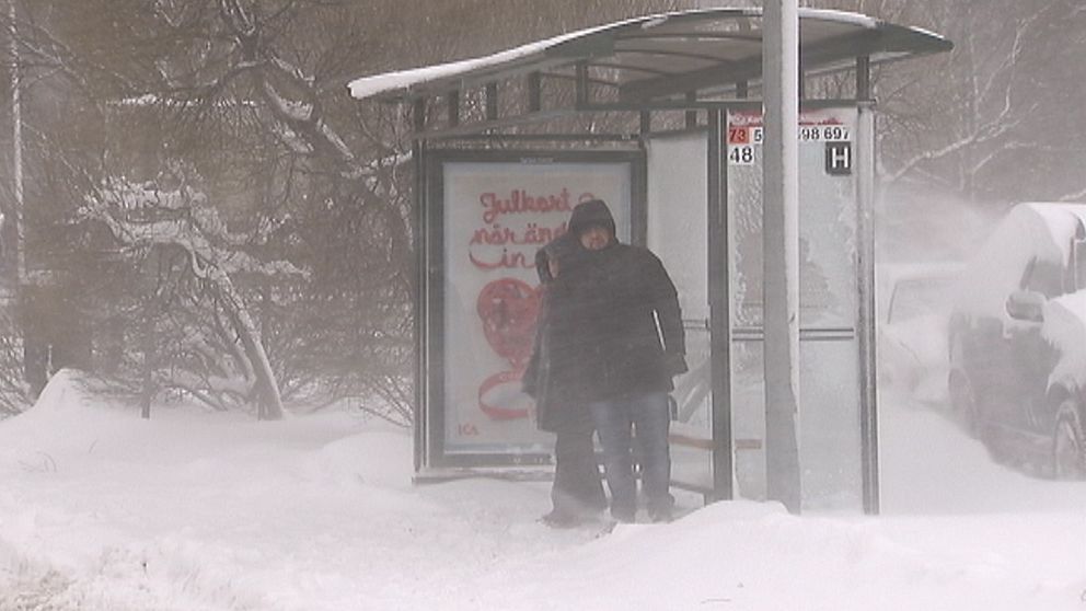 Kommer det någon buss tro? Ett snöoväder slog hårt mot Stockholm med omnejd den 5 december och kollektivtrafiken drabbades av inställda turer och långa förseningar.