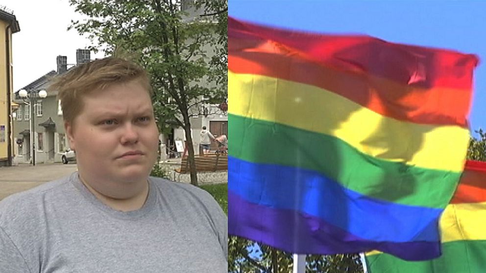 Hanna hannes och regnbågsflaggan