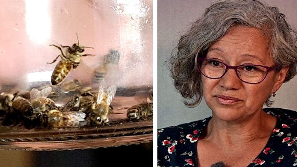 Maria Pacheco i Nättraby sticker sig med bin.