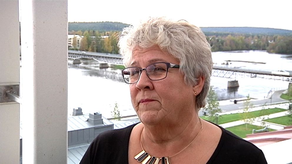 Maria Marklund (S).