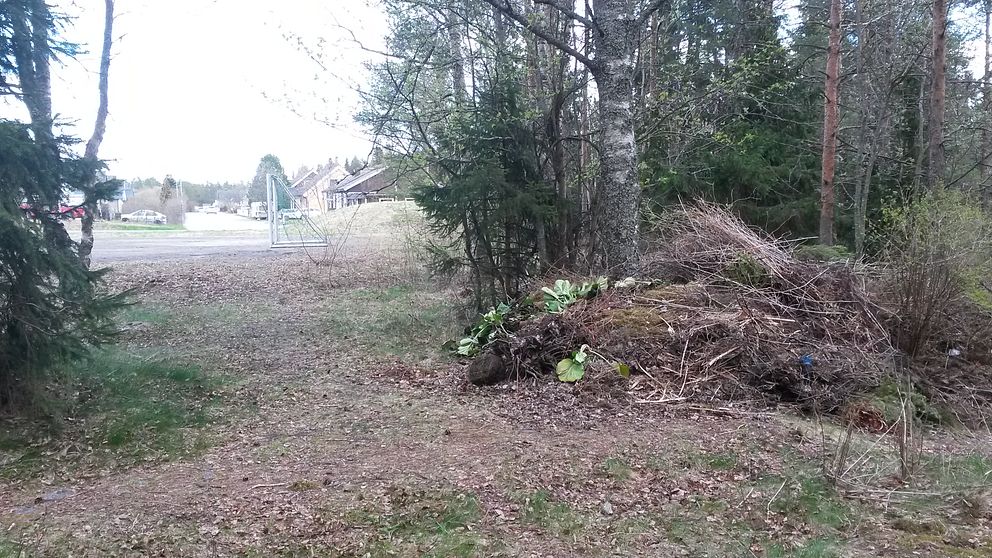 Trädgårdsavfall Holmsund