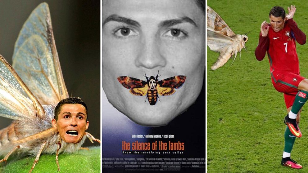 Skildringar av Ronaldo med nattfjäril