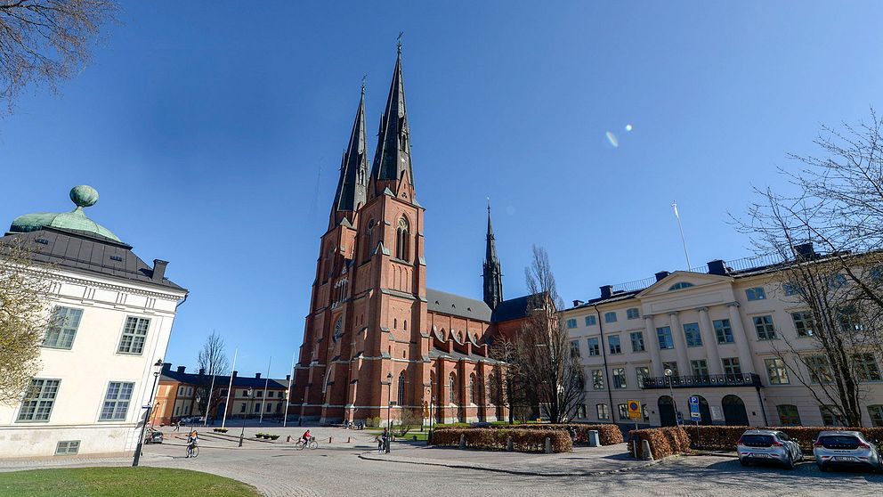 Svensk kyrka