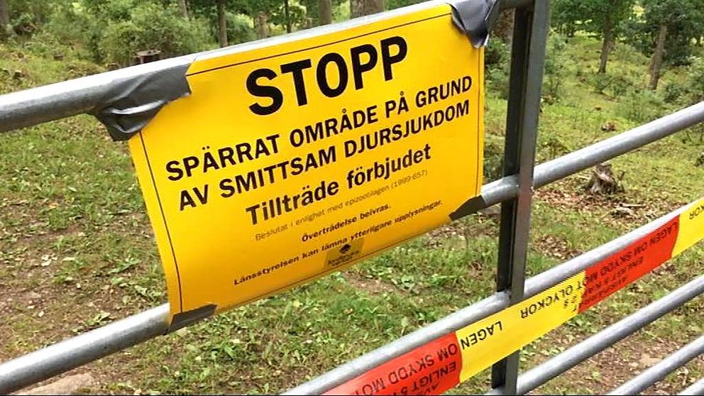 Avspärrning på grund av smittsam djursjukdom.