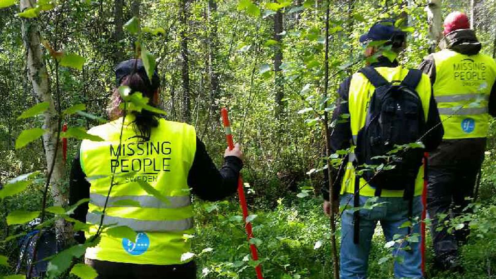 Missing People letar under söndagen efter den man som försvann i Kalix förra året.