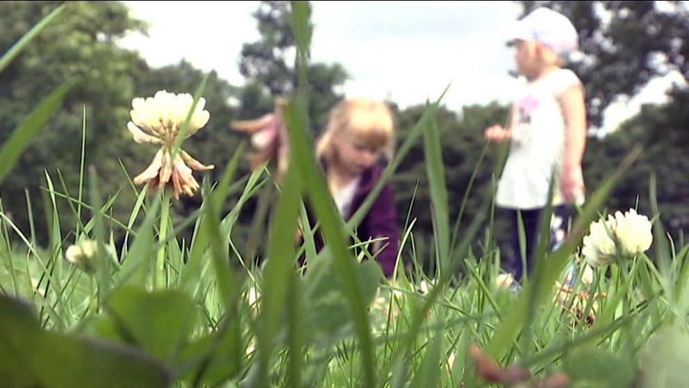 Två flickor leker i gräs.