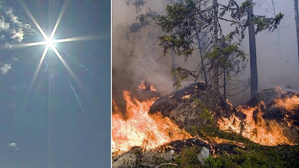 Delad bild: en sol och en skogsbrand.