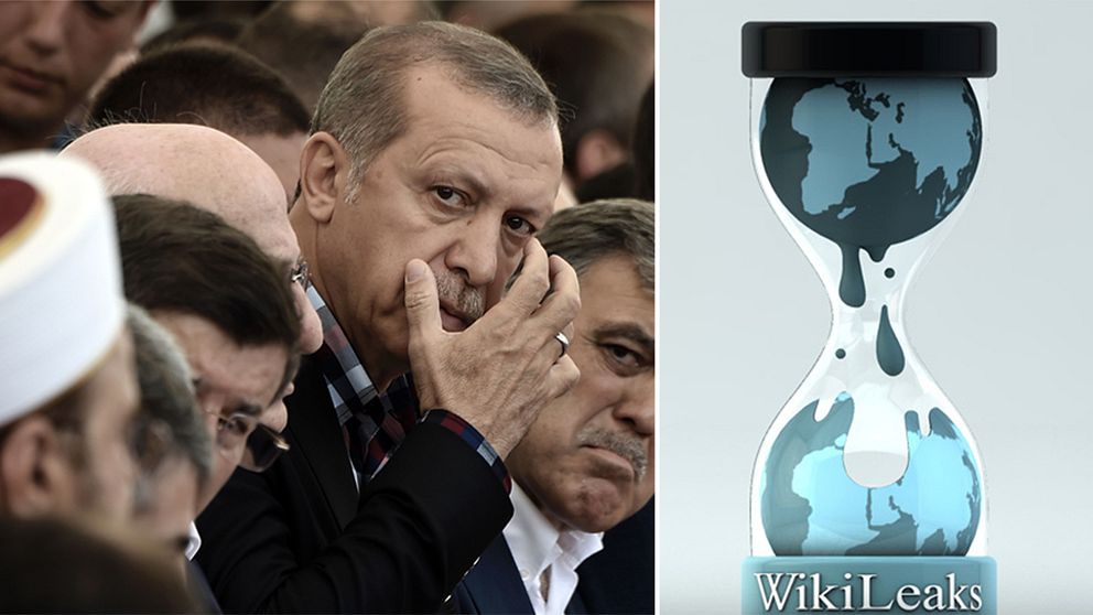 Erdogan och Wikileaks logo