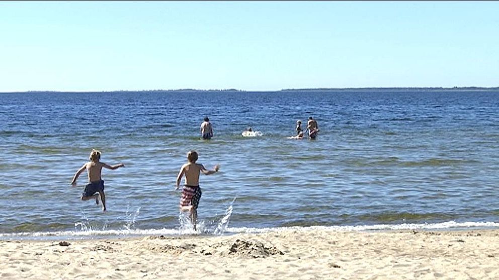 Sommarbild, sommar, strand, bada