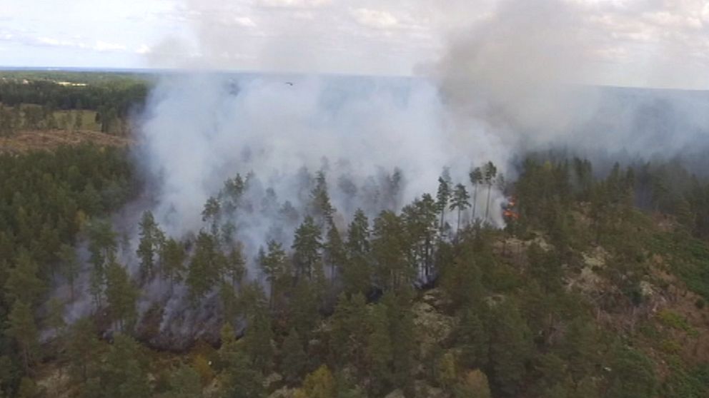 Skogsbrand nära Oxmossen utanför Söderköping i Östergötland den 27 juli. Branden orsakades troligen av ett blixtnedslag dagen innan.