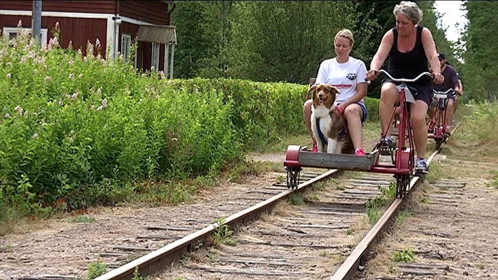 smalspåret