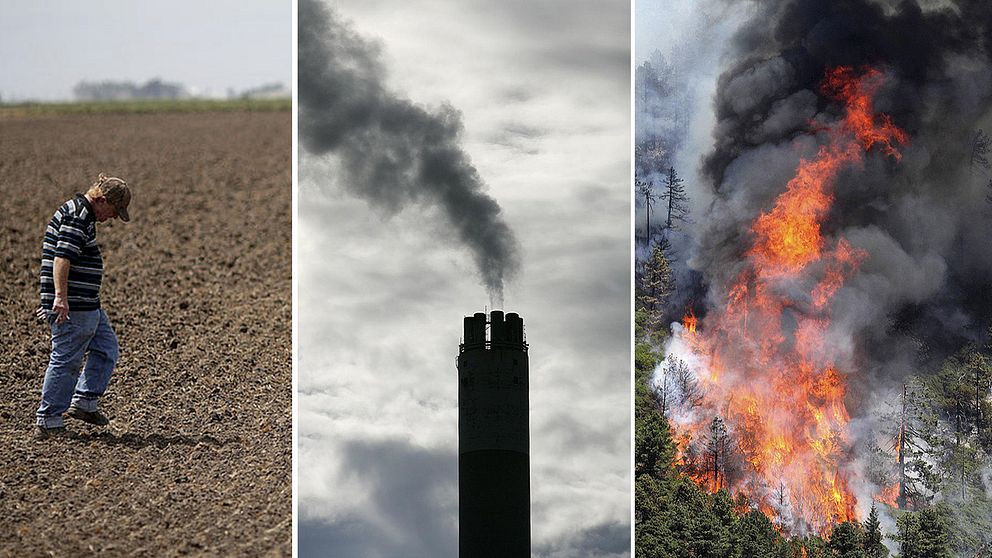 Bilder på torka, utsläpp och skogsbrand.