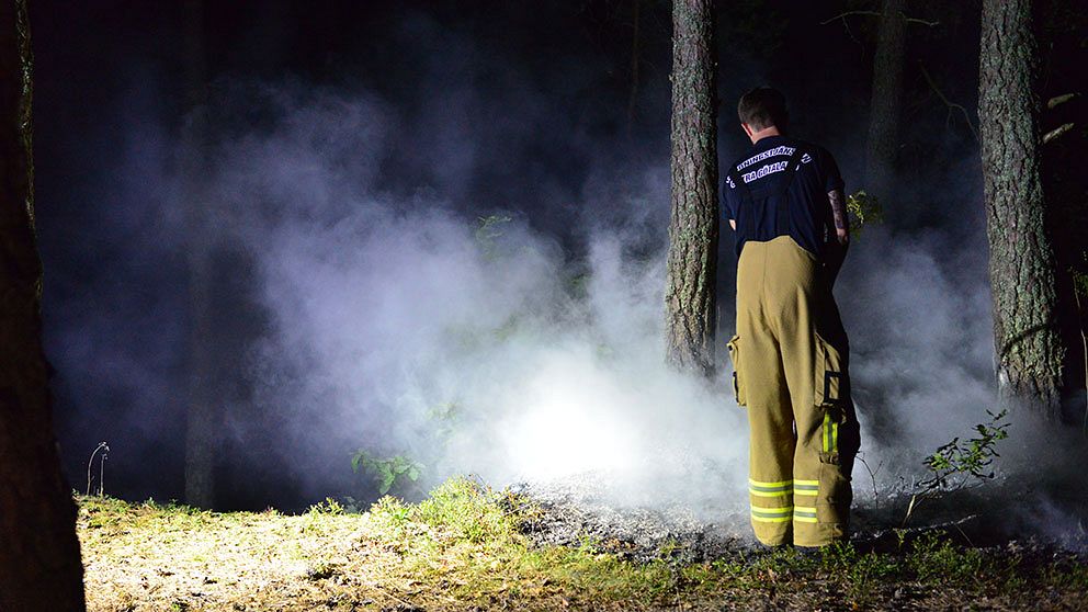 brand vrinneviskogen norrköping