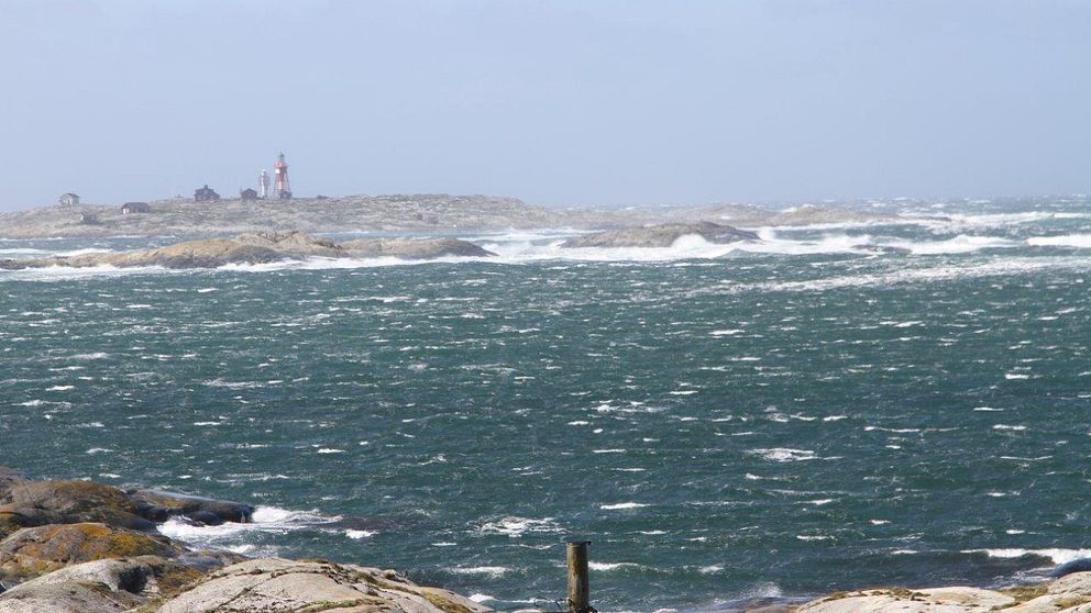 Måseskär