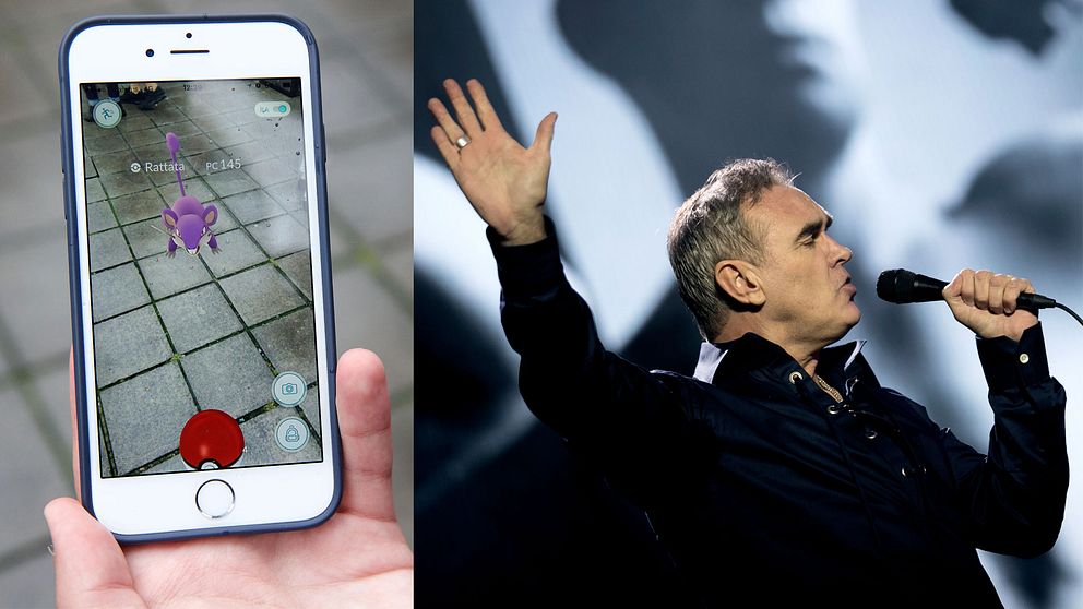 Morrissey utvecklar djurrättsspel