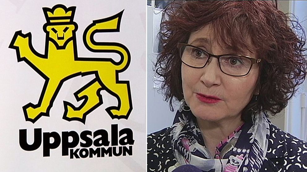 Ilona Szatmari Waldau är kommunalråd för vänsterpartiet i Uppsala.