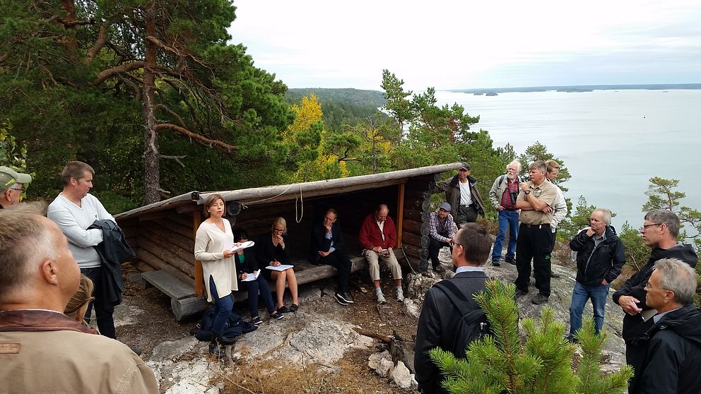 Slutplädering i målet om Wildfire.