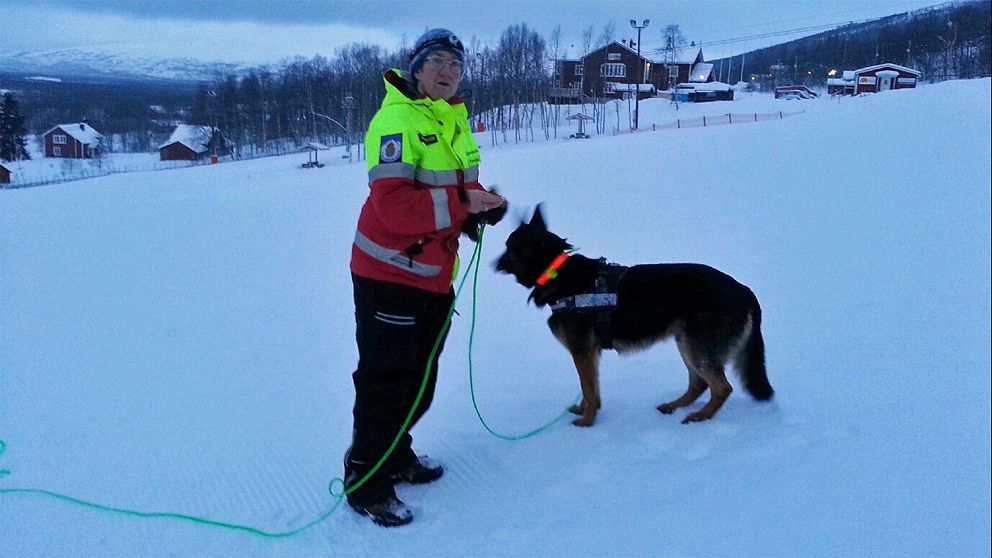En fjällräddare med hund hjälper polisen i sökandet efter en man i Hemavan.